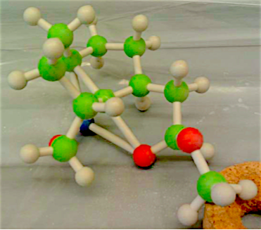 An image of a molecule model made of a standard molecule set. With different atoms in multi-colored balls and connected by small wooden dowels.
