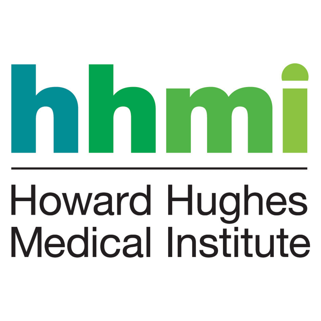 Howard Hughes Medical Institute logo, In shades of green and cyan the letters h h m I are together in lowercase. Below is a black horizontal line. Under this line reads, “Howard Hughes Medical Institute.”