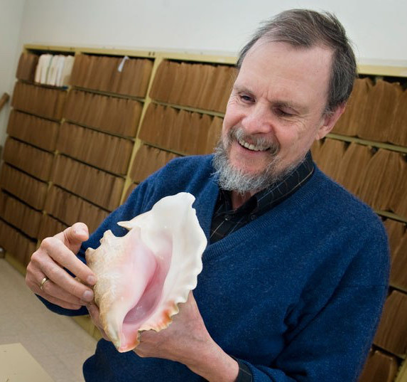 A photo of Dr. Geerat J. Vermeij. He is wearing a blue sweater and is holding a conch shell in his hands. Behind him are shelves with brown files.