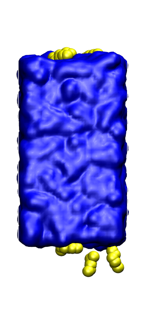 n-Hexane molecules (shown in yellow) were observed to adsorb onto the surface of liquid water (shown in blue), resulting in a decrease in the surface tension of the interface.