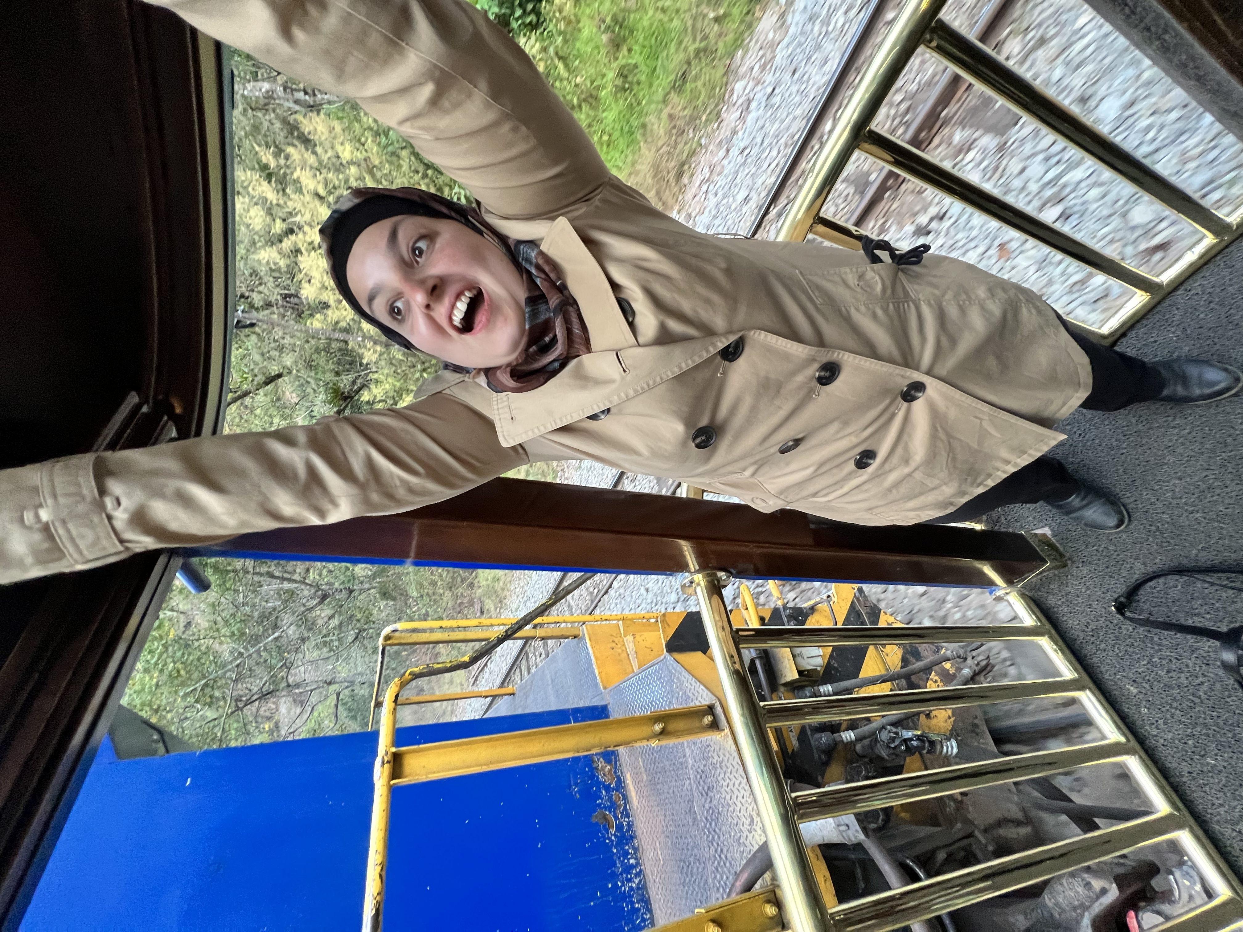 A picture of Mona being excited in front of the camera. She is standing inside a train compartment and she is not holding her walking stick. She is grabbing on to  something on the top to support herself.
					The picture shows a bit of motion blur, which means the picture was taken when the train was moving at a high speed.