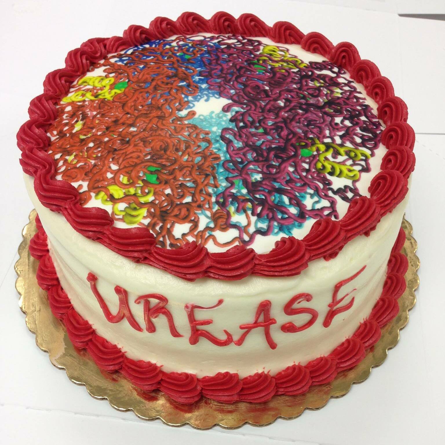 A picture of a white and red cake. On top is an intricate design showing the protein structure of Urease in multi-colored frosting. Written in red on the side it reads, “Urease”