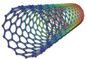 A single-walled carbon nanotube (SWCNT).