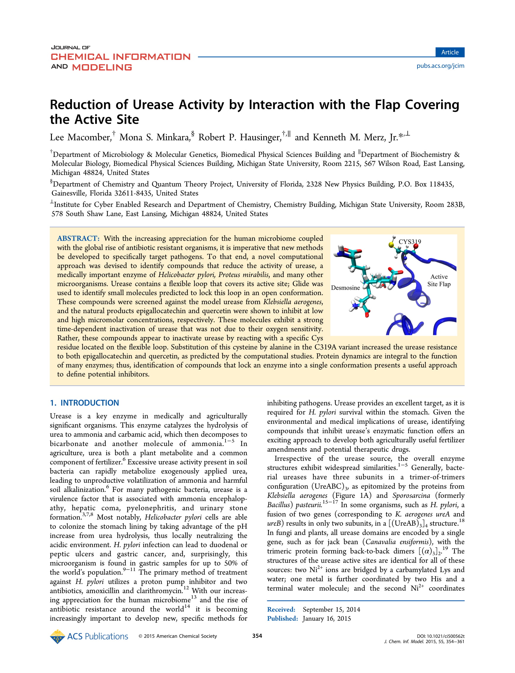 Reduction of Urease Activity by Interaction With the Flap Covering Active Site