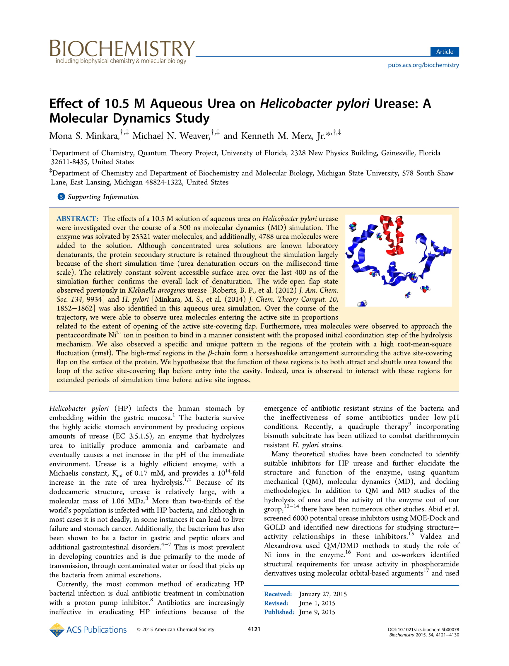Effect of 10.5 M Aqueous Urea on Helicobacter Pylori Urease: A Molecular Dynamics Study