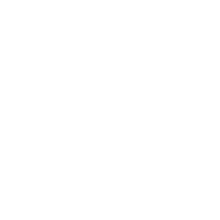 The Northeastern University seal. It is made of two rings. The inner circle shows a torch with laural leaves beneath. In latin it reads “Lvx Veritas Virtvs.” In the outer ring it reads Northeastern University, 1898”